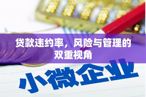 苗栗贷款违约率，风险与管理的双重视角