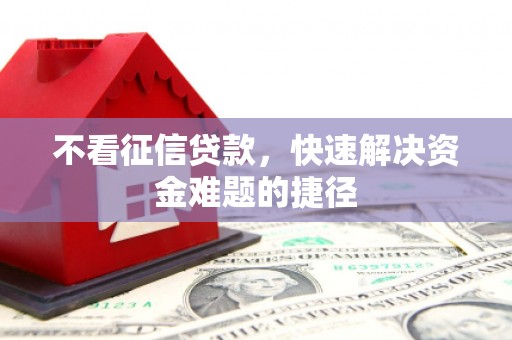 苗栗不看征信贷款，快速解决资金难题的捷径