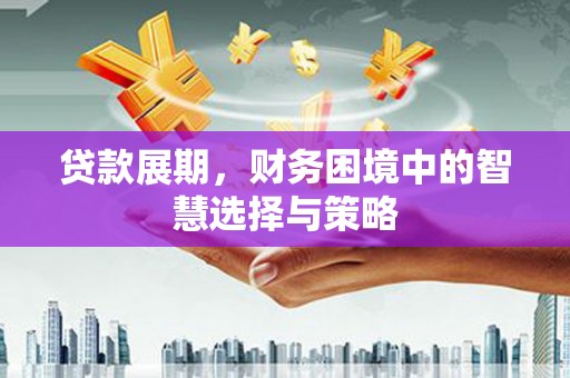 苗栗贷款展期，财务困境中的智慧选择与策略