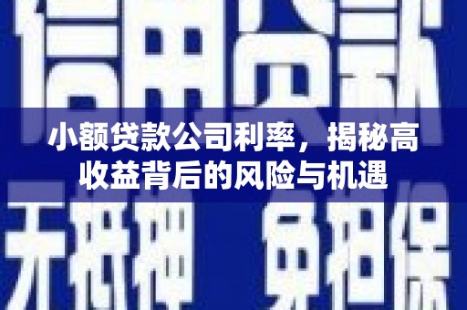 苗栗小额贷款公司利率，揭秘高收益背后的风险与机遇