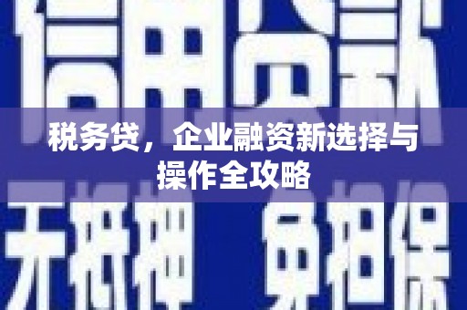 苗栗税务贷，企业融资新选择与操作全攻略
