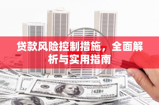 苗栗贷款风险控制措施，全面解析与实用指南