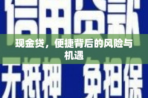 苗栗现金贷，便捷背后的风险与机遇