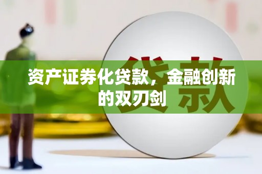 苗栗资产证券化贷款，金融创新的双刃剑