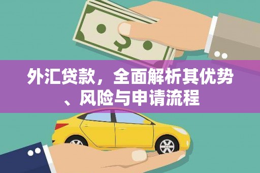 苗栗外汇贷款，全面解析其优势、风险与申请流程