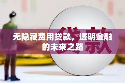 苗栗无隐藏费用贷款，透明金融的未来之路