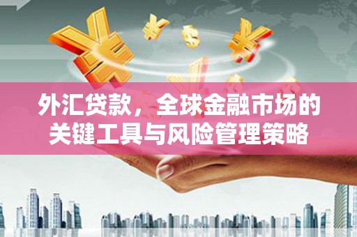 苗栗外汇贷款，全球金融市场的关键工具与风险管理策略