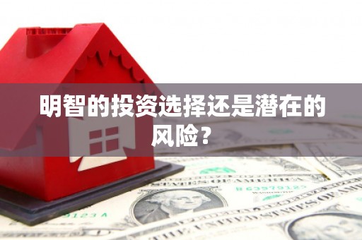 苗栗明智的投资选择还是潜在的风险？