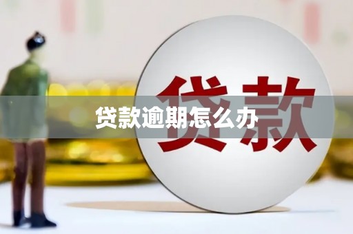 苗栗贷款逾期怎么办