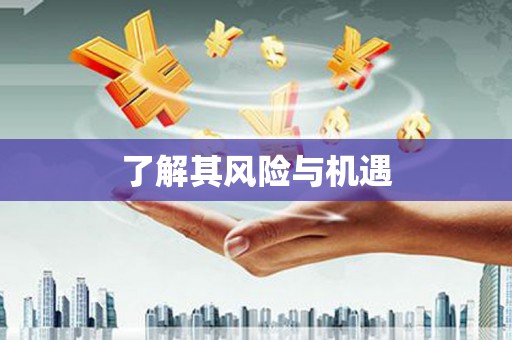 苗栗了解其风险与机遇