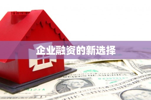 苗栗企业融资的新选择