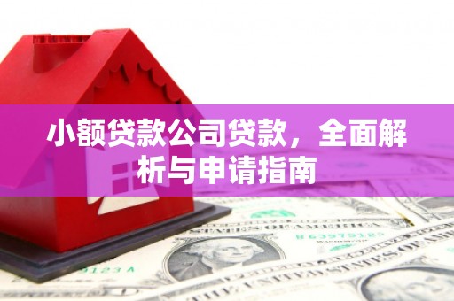 苗栗小额贷款公司贷款，全面解析与申请指南