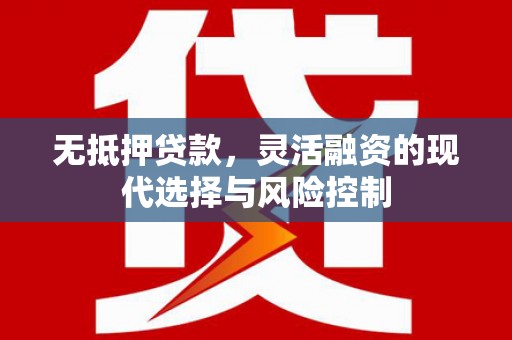 苗栗无抵押贷款，灵活融资的现代选择与风险控制