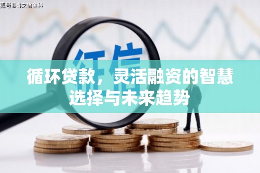 苗栗循环贷款，灵活融资的智慧选择与未来趋势
