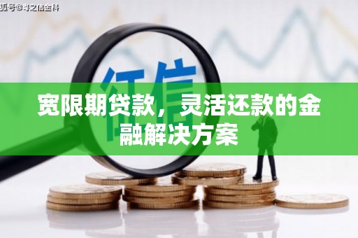 苗栗宽限期贷款，灵活还款的金融解决方案