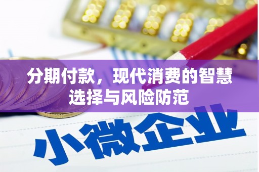 苗栗分期付款，现代消费的智慧选择与风险防范