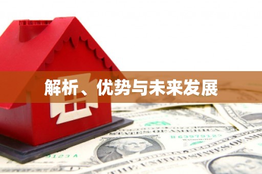 苗栗解析、优势与未来发展