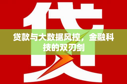 苗栗贷款与大数据风控，金融科技的双刃剑