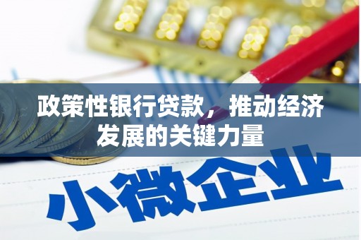 苗栗政策性银行贷款，推动经济发展的关键力量
