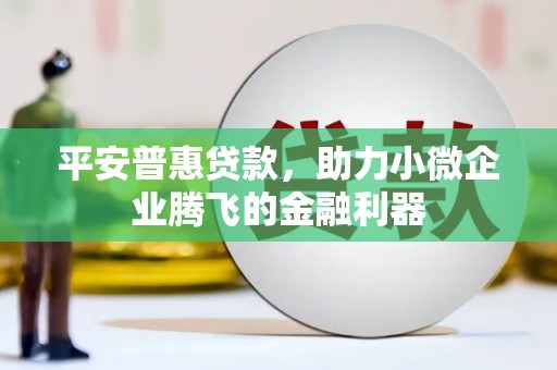 苗栗平安普惠贷款，助力小微企业腾飞的金融利器