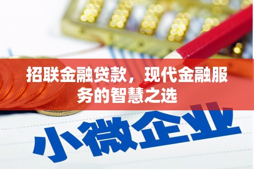 苗栗招联金融贷款，现代金融服务的智慧之选