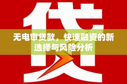 苗栗无电审贷款，快速融资的新选择与风险分析