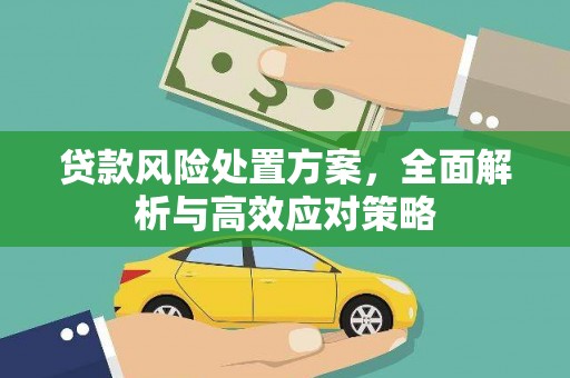苗栗贷款风险处置方案，全面解析与高效应对策略