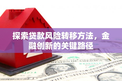 苗栗探索贷款风险转移方法，金融创新的关键路径