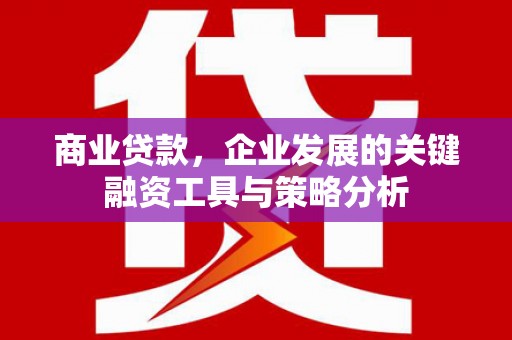 苗栗商业贷款，企业发展的关键融资工具与策略分析