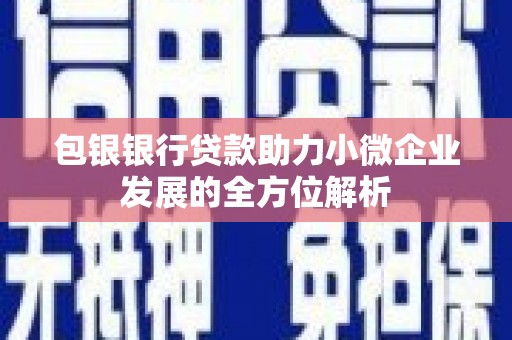苗栗包银银行贷款助力小微企业发展的全方位解析