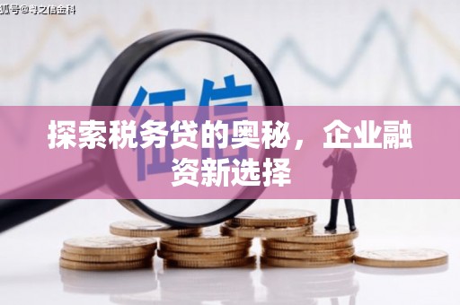苗栗探索税务贷的奥秘，企业融资新选择