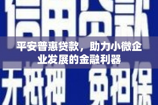 苗栗平安普惠贷款，助力小微企业发展的金融利器