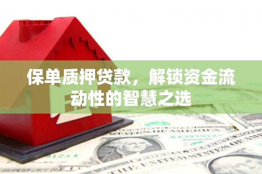 苗栗保单质押贷款，解锁资金流动性的智慧之选