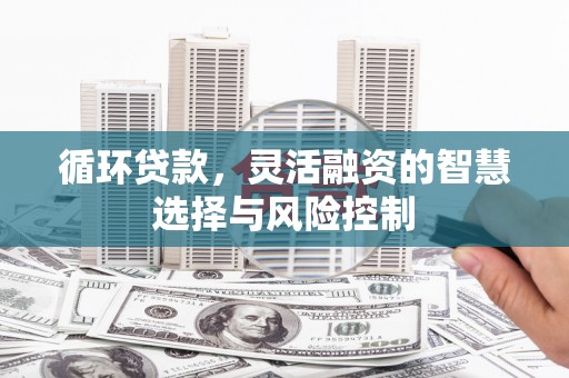 苗栗循环贷款，灵活融资的智慧选择与风险控制