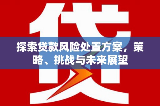苗栗探索贷款风险处置方案，策略、挑战与未来展望