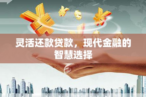 苗栗灵活还款贷款，现代金融的智慧选择