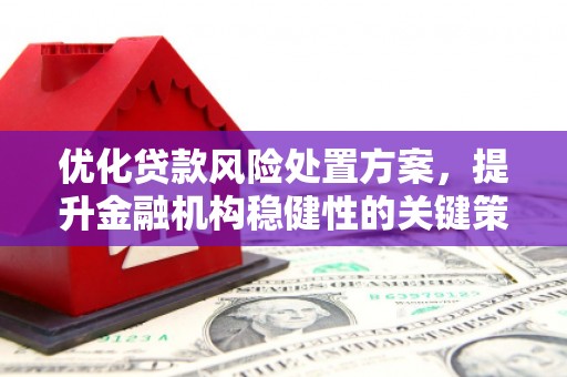 苗栗优化贷款风险处置方案，提升金融机构稳健性的关键策略