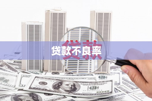 苗栗贷款不良率
