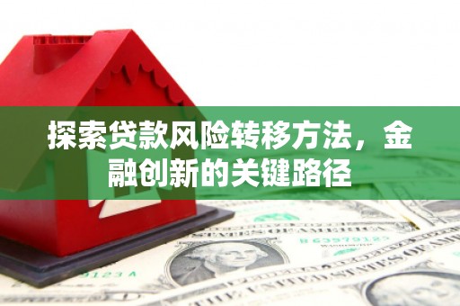 苗栗探索贷款风险转移方法，金融创新的关键路径