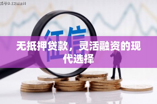 苗栗无抵押贷款，灵活融资的现代选择