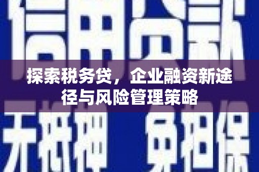 苗栗探索税务贷，企业融资新途径与风险管理策略