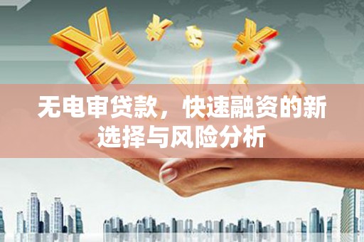 苗栗无电审贷款，快速融资的新选择与风险分析