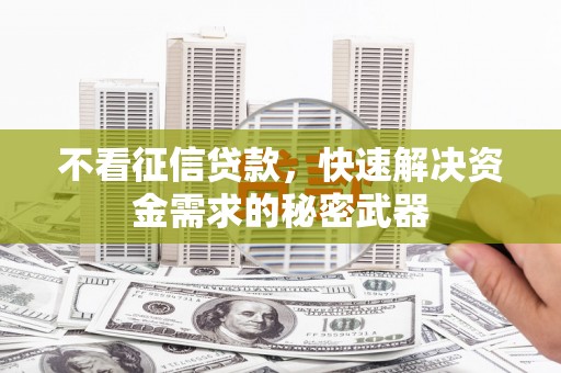苗栗不看征信贷款，快速解决资金需求的秘密武器