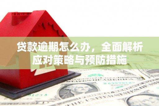 苗栗贷款逾期怎么办，全面解析应对策略与预防措施
