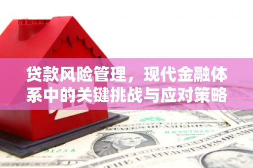 苗栗贷款风险管理，现代金融体系中的关键挑战与应对策略