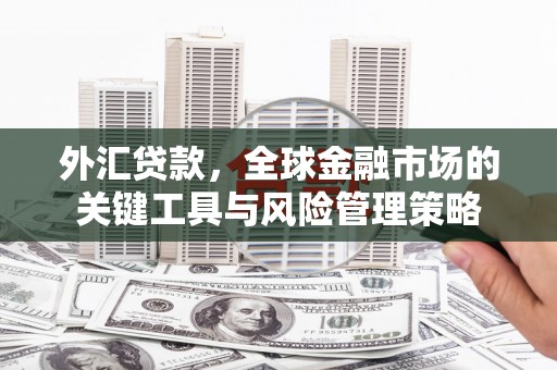 苗栗外汇贷款，全球金融市场的关键工具与风险管理策略