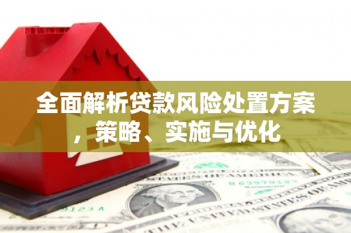 苗栗全面解析贷款风险处置方案，策略、实施与优化