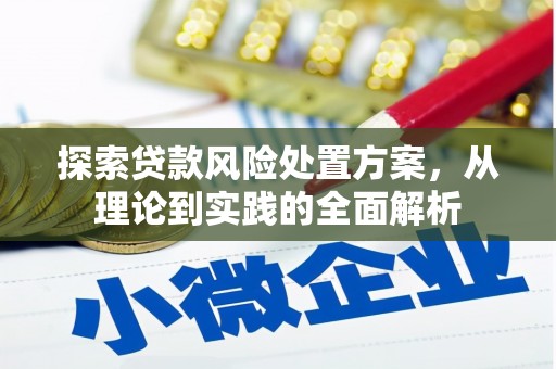 苗栗探索贷款风险处置方案，从理论到实践的全面解析