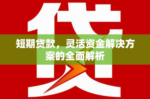 苗栗短期贷款，灵活资金解决方案的全面解析