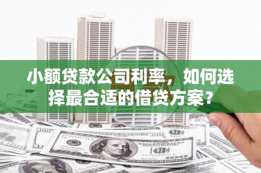 苗栗小额贷款公司利率，如何选择最合适的借贷方案？